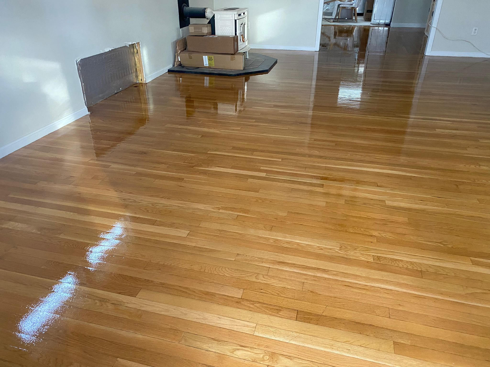 Basement Finishing Project