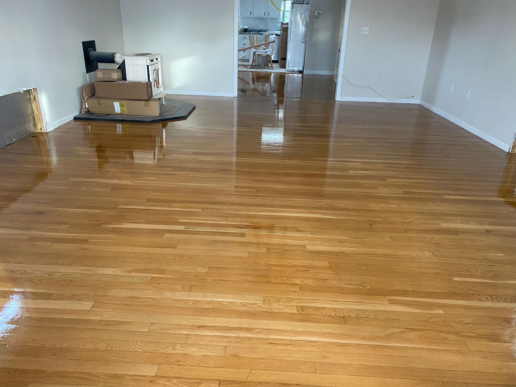 Basement Finishing Project